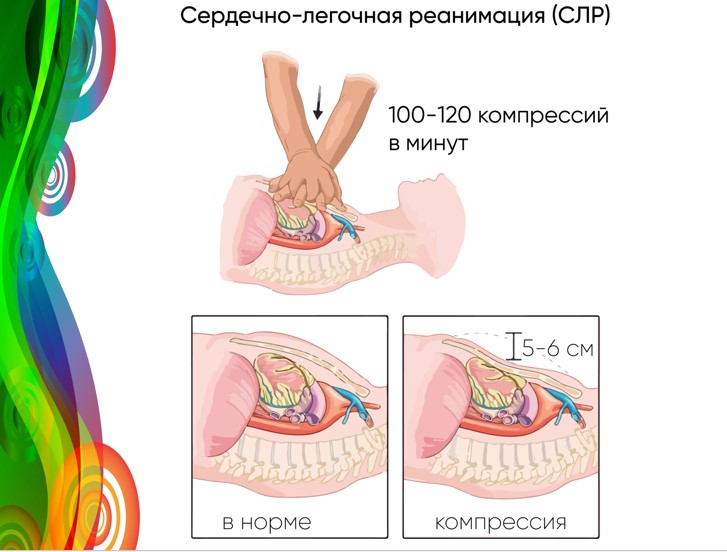 lek11